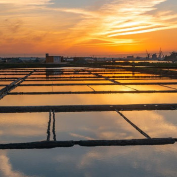 Aveiro Salt Pans Aveiro Salt Pans