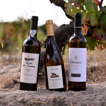 Bairrada Wines Bairrada Wines